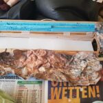 Der Landschaftsaufbau hat begonnen